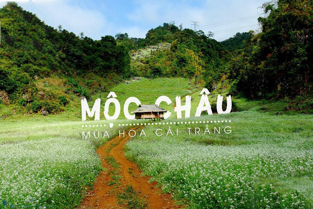 du-lich-moc-chau-dep-nhat-1